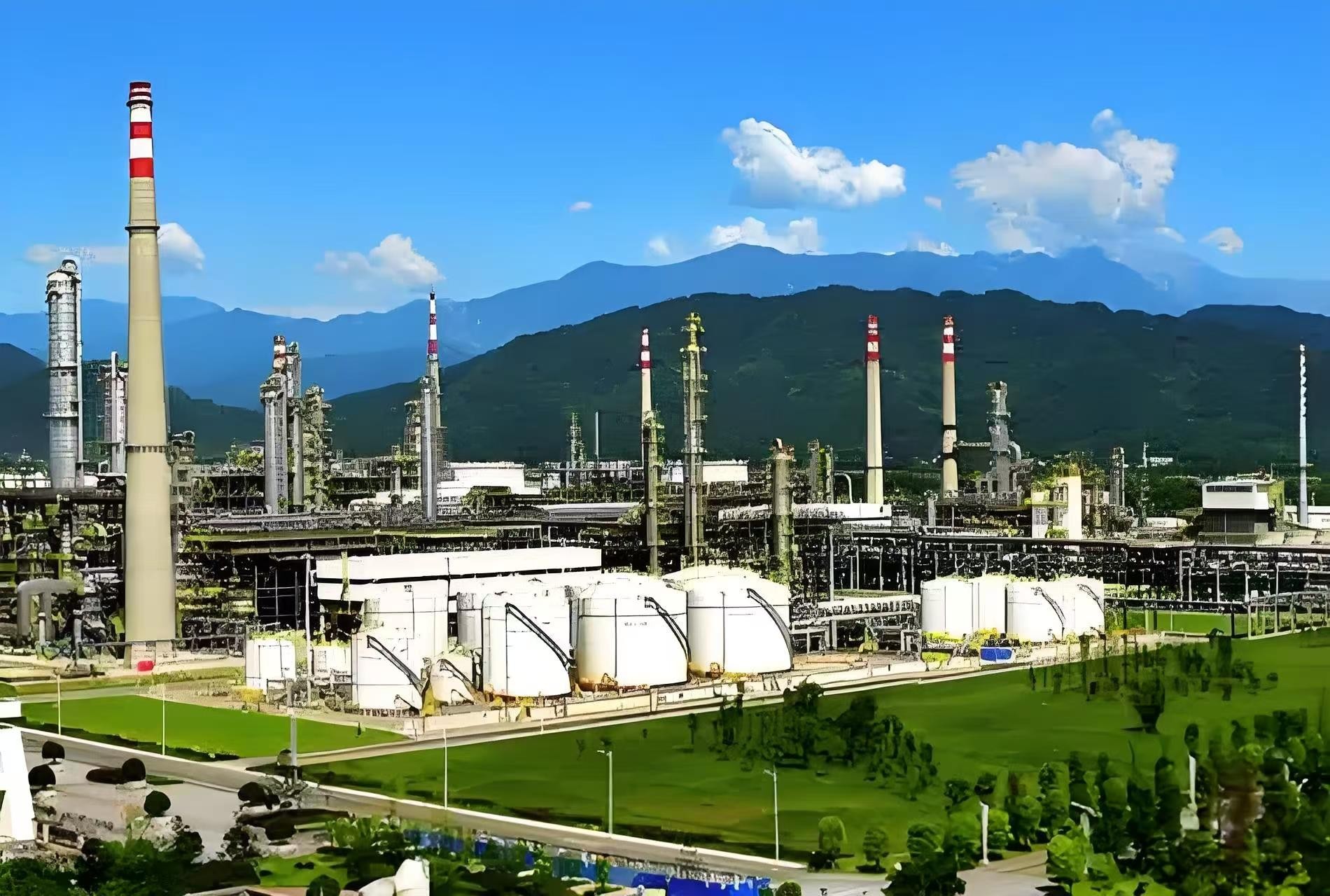 中国石油四川石化有限责任公司隐患排查项目